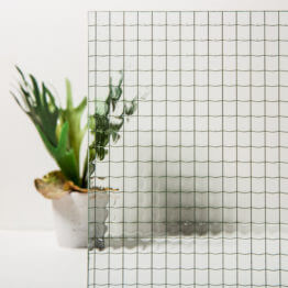 Blank draad glas - Snepvangers
